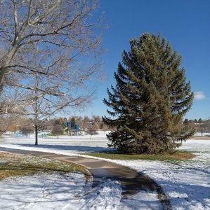 Meet your Posher, Abdelhak